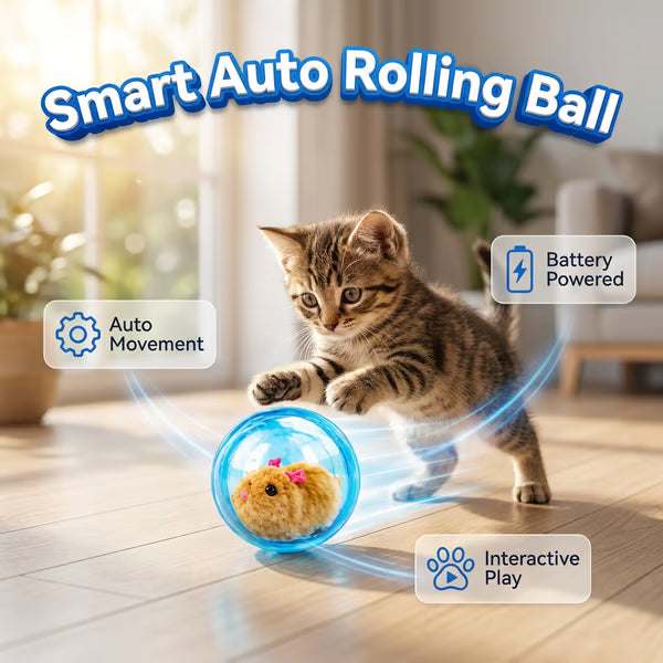 Auto-Rolling Ball with Mouse Hands-Free Play for Indoor Cats