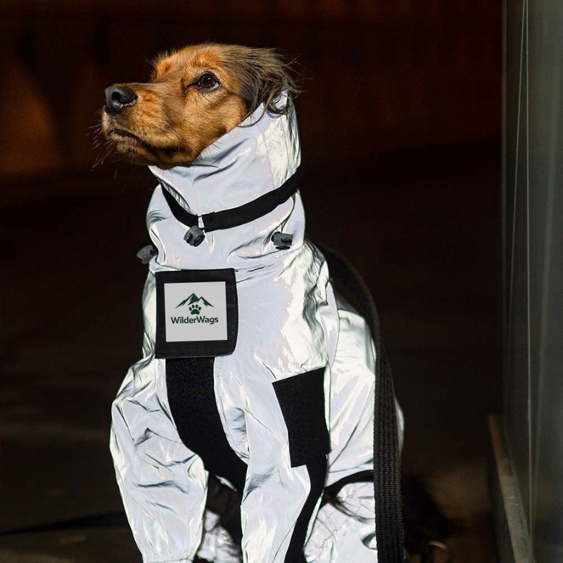 Reflective All-weather Waterproof Space Coat Dog Rain Coat