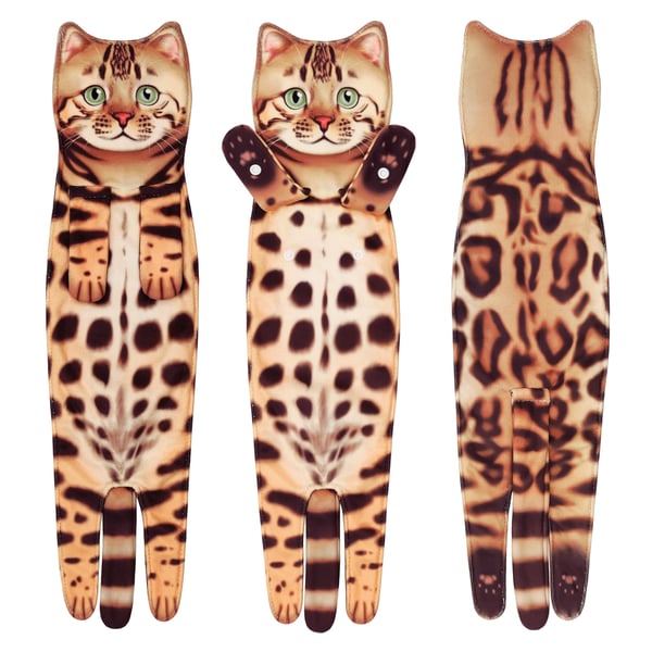 Bengal Cat